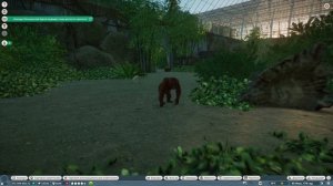 Орангутаны Planet Zoo