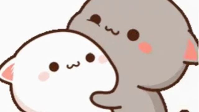 котики 💓💗