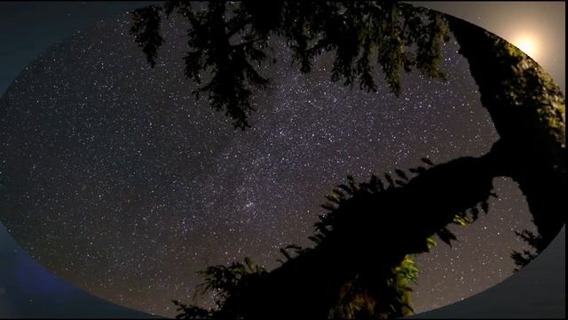 Видеоодиссея 2 смотреть онлайн