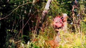 Старая Смоленская дорога от Вязьмы до Гагарина. Часть 6.