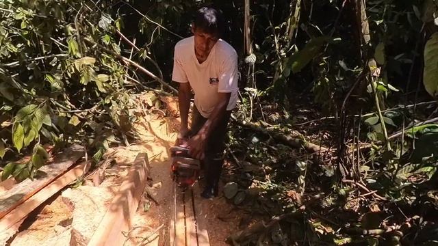 HAUTURI / АМАЗОНСКИЕ ЦИТАТЫ / ДИКИЕ ЖИВОТНЫЕ / ПРИГЛАШАЮ К СОВМЕСТНОМУ ПУТЕШЕСТВИЮ В АМАЗОНИЮ 2024 смотреть онлайн