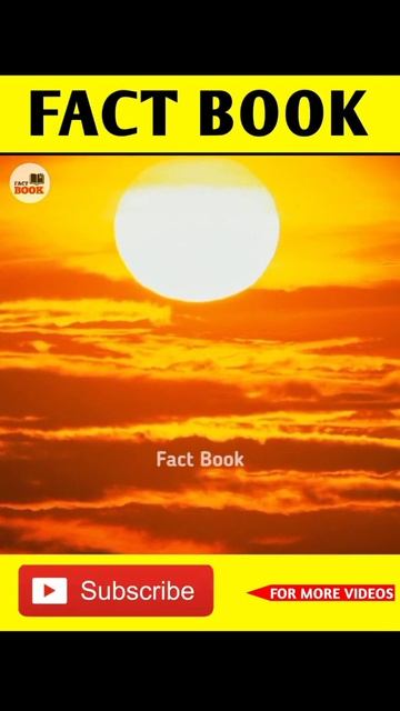 दिन में तारें क्यों दिखाई नहीं देते हैं?🤔|Fact Book|#shorts смотреть онлайн