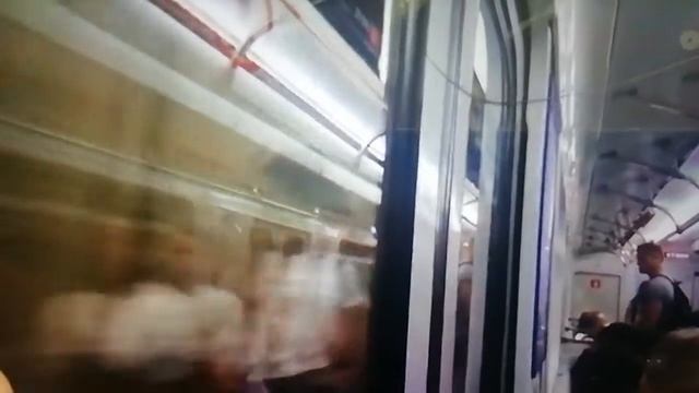 поездка на Фрунзенско-Приморской линии от станции Шушары до станции Комендантский проспект (часть 2