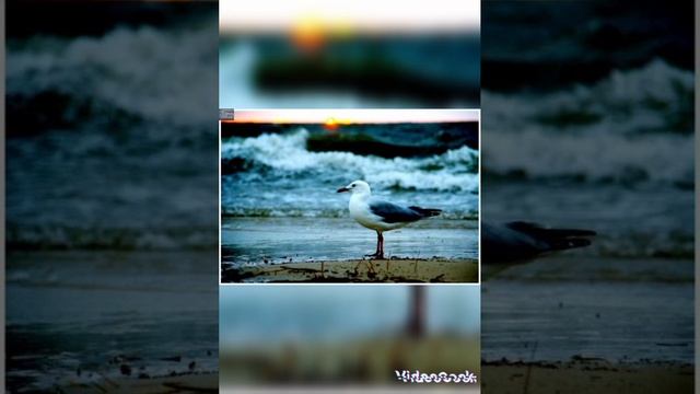 Моя планета земля ПРЕКРАСНА смотреть онлайн