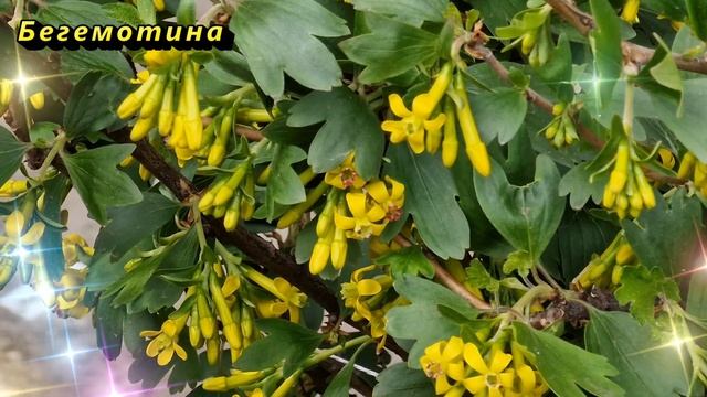 Кто из знаков зодиака заработает больше всего денег этим летом смотреть онлайн