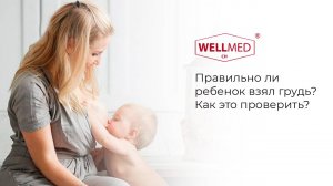 Правильно ли ребенок взял грудь, как проверить? |Советы от бренда WELLMED