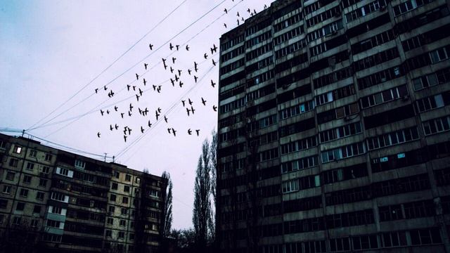 ktvsky - зимний смотреть онлайн