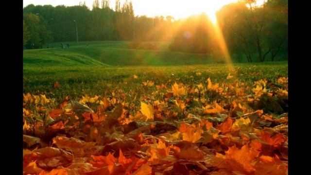 Как извлечь всю пользу от осеннего равноденствия смотреть онлайн