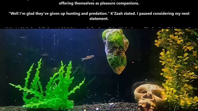 Best SciFi Storytime 1595 - Think Humans Stopped Being Predators Watch Their Kids Play | HFY смотреть онлайн