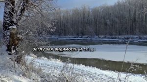 БЫВШИЙ ОФИЦЕР МОРСКОЙ ПЕХОТЫ, УЗНАВ О ПРЕДАТЕЛЬСТВЕ ЖЕНЫ, РЕШАЕТ ОТОМСТИТЬ — И ЭТО ТОЛЬКО НАЧАЛО...