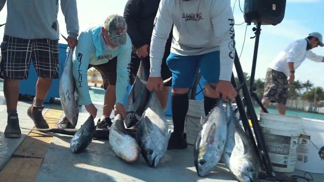 2021 Fort Lauderdale Meat Mayhem Highlight Reel - Kingfish Tuna Dolphin Cobia and more!