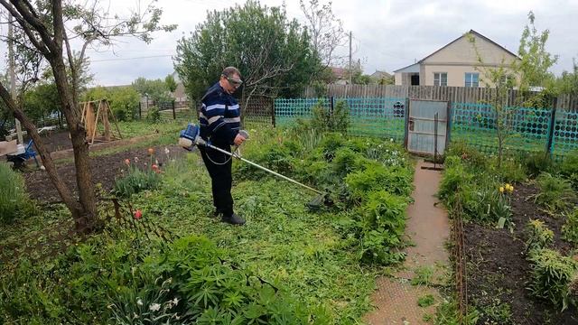 Живем в деревне занимаемся огородными делами.