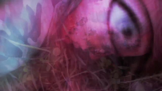 Johnny Cupcakes presents: Robot Ovens From Mars смотреть онлайн