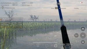 Mighty three, fishing planet mobile, How to win fp Competitions, 3rd place