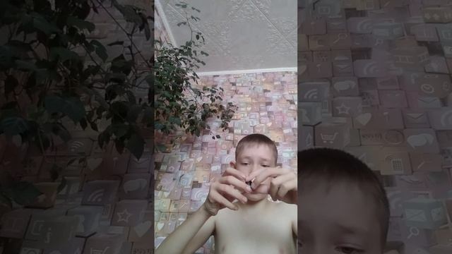 Европа плюс тв новинки недели