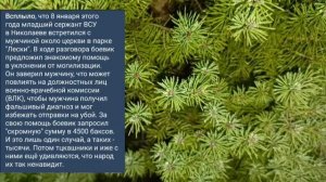 Николаев 4 февраля 2025 года (новости)