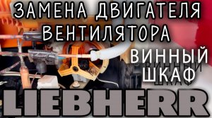 Ремонт винного холодильника Liebherr ⚒️ Самостоятельно