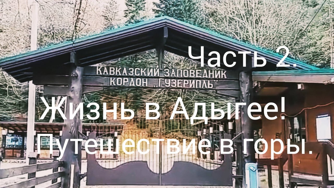 Кавказский заповедник "Гузерипль"/Дольмен/Часть 2/