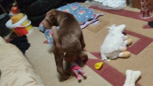 Видеомагнитофон Samsung SVR-660 Hi-Fi Stereo * Полная Проверка