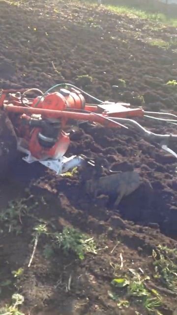 беспилотный мотоблок смотреть онлайн