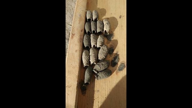 Мир: НЛО? Чужие? Пятый элемент?