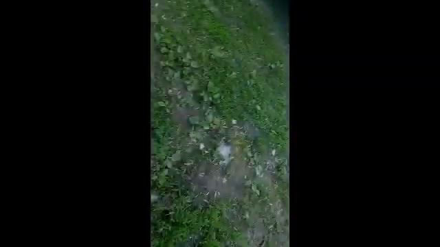 Вызов оборотня
