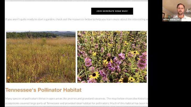 LWV of Williamson County Monthly Meeting – October 2020 смотреть онлайн