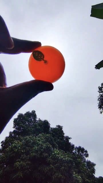 Homemade Solar eclipse #nasa #solareclipse #100shorts2024 смотреть онлайн