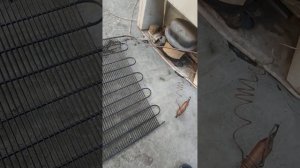 Разбор холодильника Чинар КШ-240 П. 1 часть.