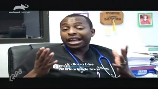 Animal Planet Comerciales Y Rebrand 2019 смотреть онлайн