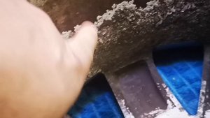 Диски Рено сценик scenic 2, Megane 2, v Сценик 2,  Меган 2, Дастер, Duster, 16 радиус