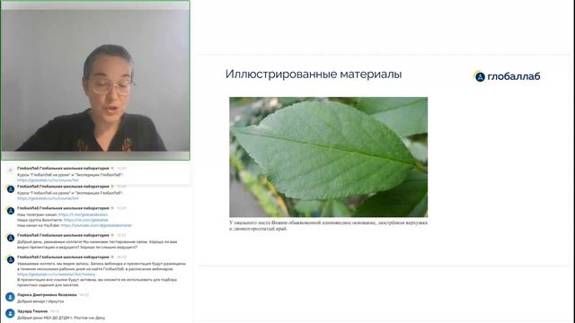 Экспедиция как готовое решение для летнего лагеря — как это работает? смотреть онлайн