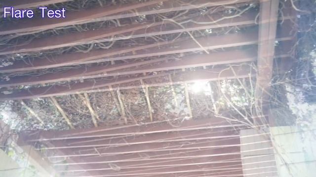 Minotar 35mm 2.8 M39 Modify Lens - Video Test смотреть онлайн