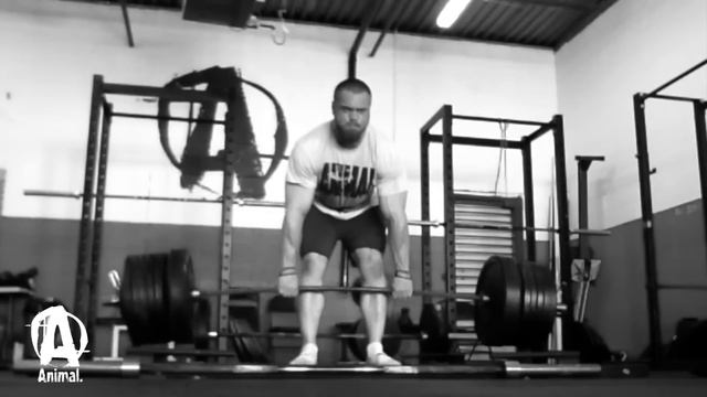 The Animal Underground: Kade "Pale Rider" Weber, Deads & Front Squats смотреть онлайн