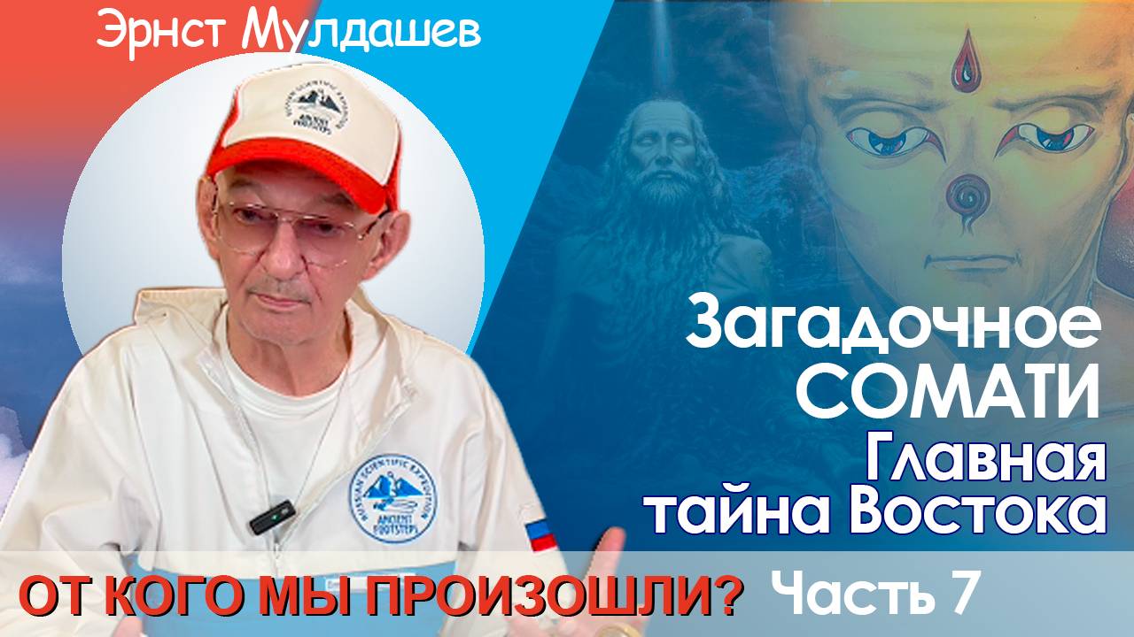 От кого мы произошли. Часть 7. Загадочное сомати.