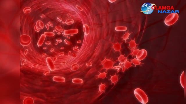 DIQQAT TEZKOR YERGA KUCHLI MAGNIT BO'RONLARI XAVF SOLMOQDA смотреть онлайн