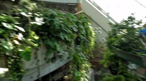 Дубай 2024 Green Planet - Грин планет Дубай необычная оранжерея