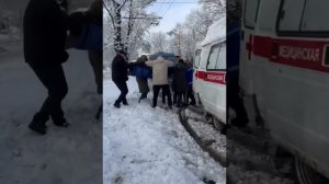 В Ростове-на-Дону на улице Таганрогской на прохожего рухнула ветка.