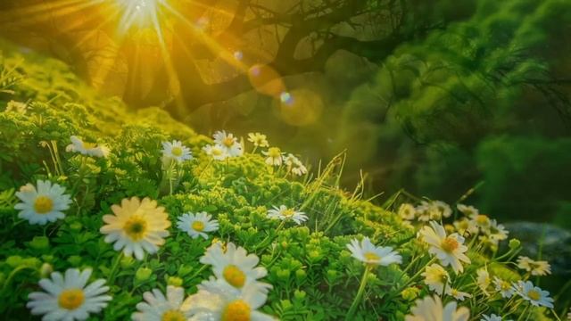 Катя заметила что по ночам кто-то пробирается к ней. Установила скрытые камеры и побледнела... смотреть онлайн