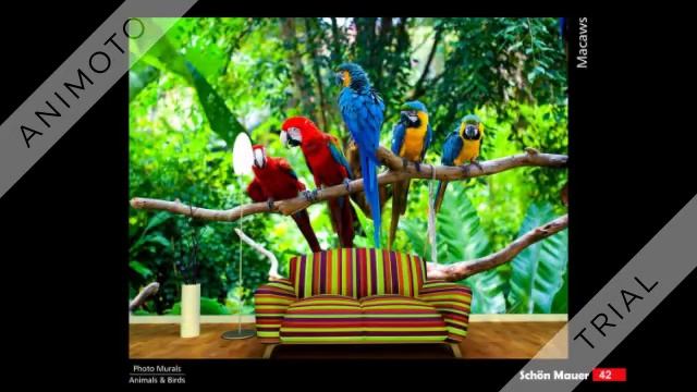 JUPITER WALLPAPER смотреть онлайн