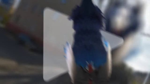 недо-wcmv смотреть онлайн