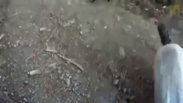 8 марта 2020 г. смотреть онлайн