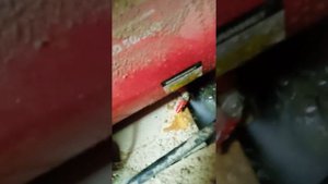 сливаем воду с компрессора