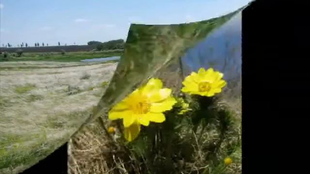 Защитим Землю! смотреть онлайн