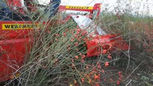 Комбайн за шипки и арония Joanna-4