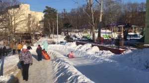 Катание на ледянке 2, лесная поляна, Владивосток