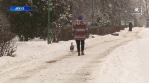 Собака бывает кусачей не всегда. Главное, правильно содержать