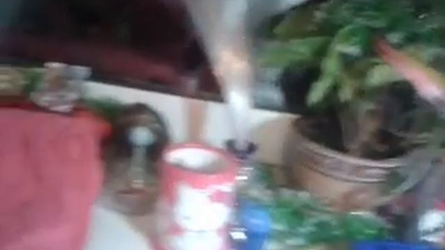 Няня Венера (3 серия) "Няня варовка" смотреть онлайн