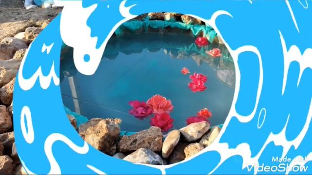 Красивый сад своими руками/Дизайн в саду/Ինչպե՞ս ձևավորել պարտեզը։ смотреть онлайн