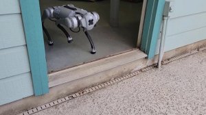 Unitree Go1 Stair Climbing Mode